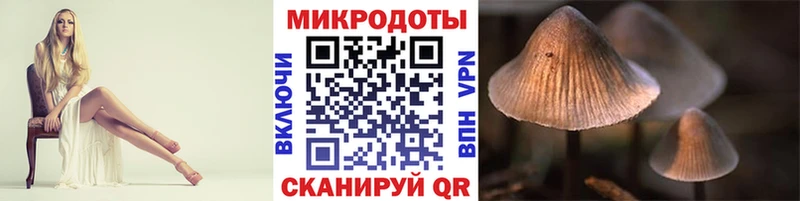 Галлюциногенные грибы Cubensis  закладки  Спасск 